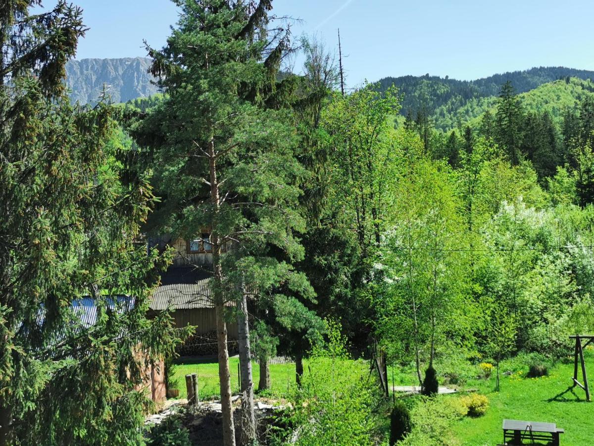 Willa Senator Zakopane Exterior photo